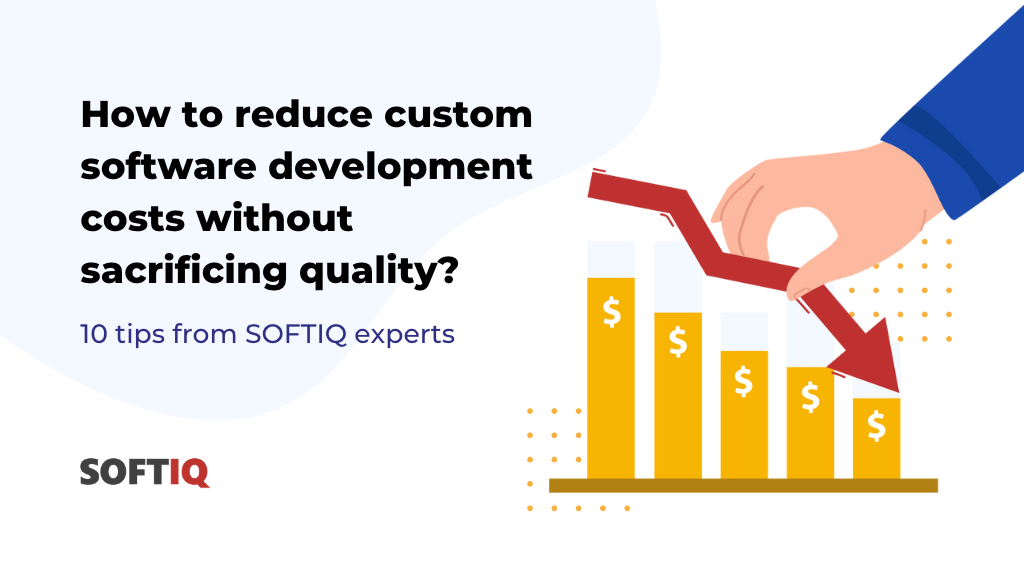 How to reduce custom software development costs
